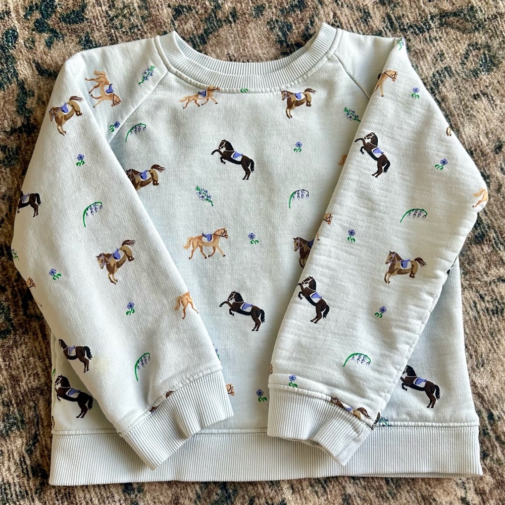 1212 The Organic Printed Pullover Sweatshirt [Pony Parade on Ice Blue]